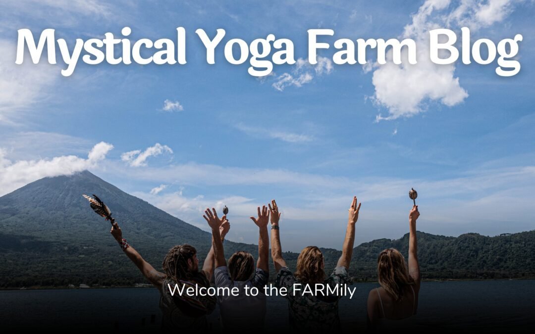 Introducing the Mystical Yoga Farm Blog!