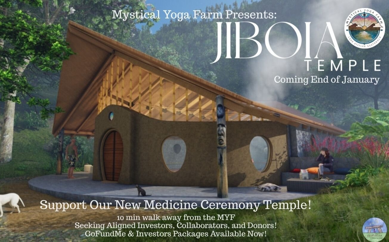 online guitar course medicine music lessons